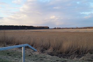 Elbe-Aland-Niederung